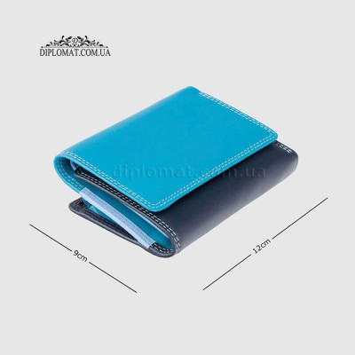 Кошелек женский кожаный VISCONTI RB39 Biola c RFID  Blue Multi