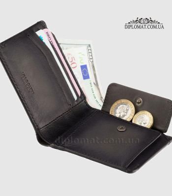 Портмоне мужское VISCONTI MT92 Zanotti Smoke Grey Burnish