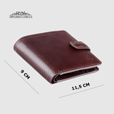 Портмоне мужские VISCONTI TSC48 Filipo  Brown Коричневый Коричневый
