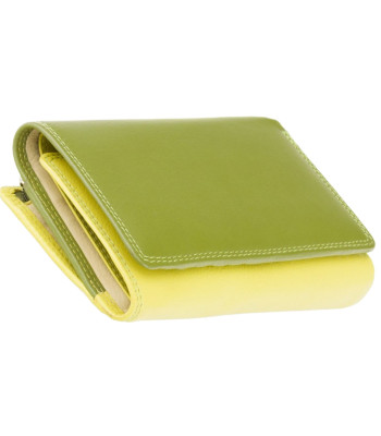 Кошелек женский кожаный VISCONTI RB43 Bora c RFID Lime Multi