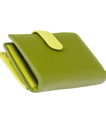 Кошелек женский кожаный VISCONTI RB51 c RFID Lime Multi